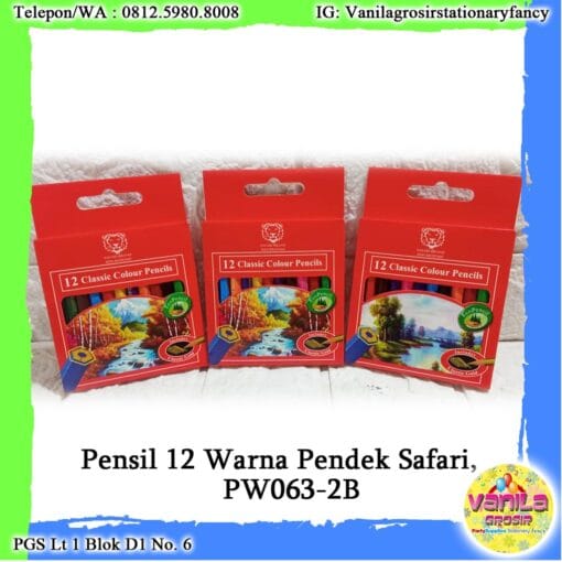 12PCS PENSIL WARNA