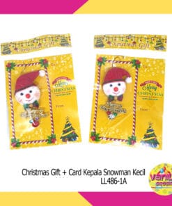 Christmas Gift + Card