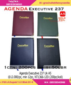 Agenda Executive 237